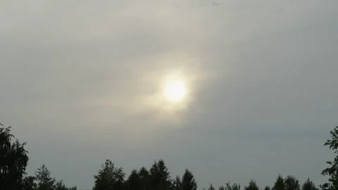 Bright sun shining through dark dramatic clouds over tree silhouettes Stock Footage 338201022