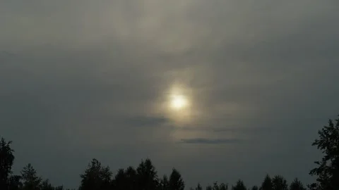 Bright sun shining through dark dramatic clouds over tree silhouettes Stock Footage 338201289