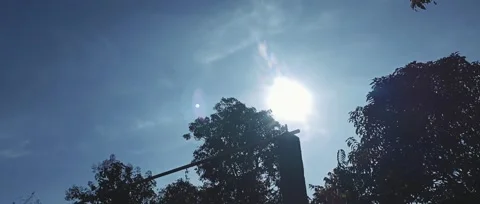 Bright Sun Shining Through Silhouetted Trees and a Wooden Pole Stock Footage 301064452