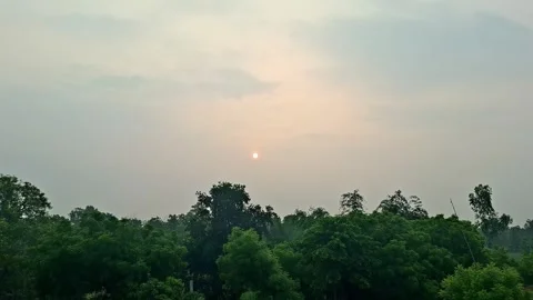 Bright Sun Sinking Behind Dense Forest Horizon 스톡 동영상 338265435