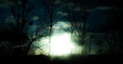 Bright sun through trees Stock Photos