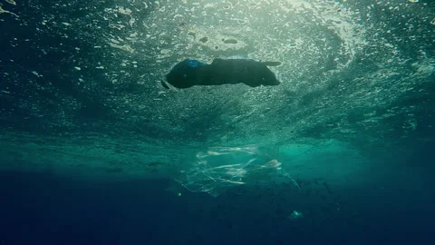 Bright sunbeams shine through water surface covered with plastic waste and layer Stock-Footage 336568266