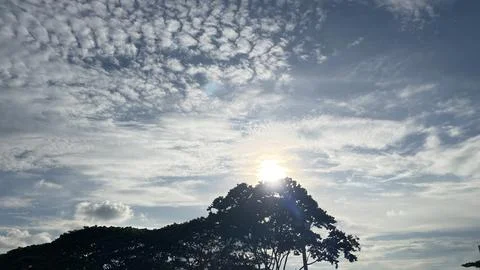 Bright Sunburst Breaking Through Clouds Above Tree Silhouette Stockfoto's