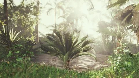 Bright sunburst breaking through palm leaves Stock-Illustration