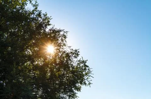 Bright Sunburst Stock Photos