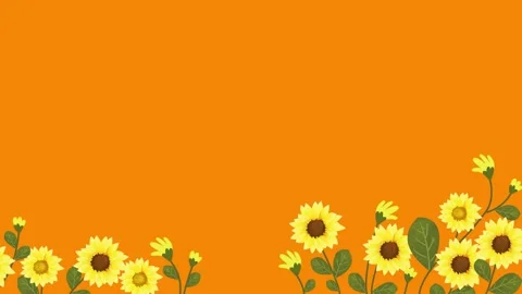 Bright Sunflower Border Design Animation on Vibrant Orange Background 스톡 동영상 336662593