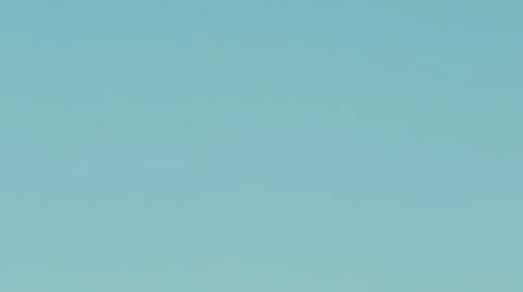 Bright sunflower shooted with macro Stock Footage 65938481