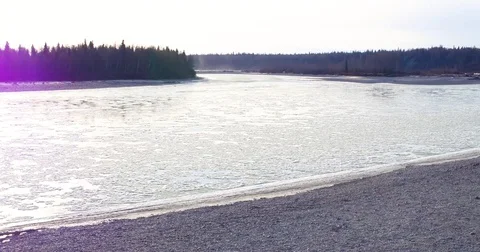Bright sunlight and coniferous forest along the river during winter Stock-Footage 79655387