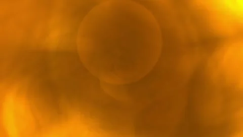 Bright Sunlight and Lens Flare at Sunset Creating Warm Orange Glow Stock Footage 345420431