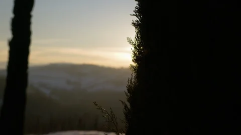 Bright sunlight behind the trees Stock-Footage 102209689