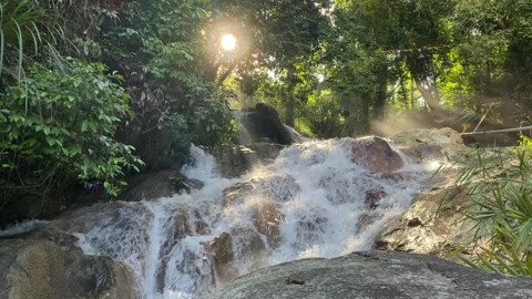 Bright sunlight breaks through dense foliage above a flowing waterfall, with Stock Footage 319661360
