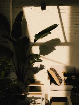 Bright sunlight filtering through window creating soft shadows on white brick Stock-Fotos