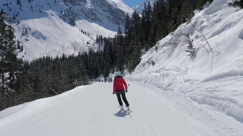 Bright sunlight illuminates skier among pine and mountain peaks Vidéo 323178613