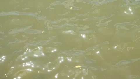 Bright Sunlight Reflection on Shimmering River Water Surface Vídeos de archivo 337415449