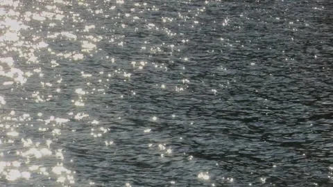 Bright Sunlight Reflections Shimmering on Flowing River Surface Stock Footage 330245122