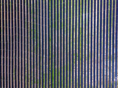 Bright sunlight shines on rows of solar panels that create a grid pattern on  写真素材