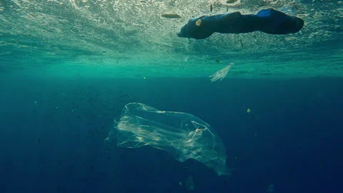 Bright sunlight shines through water surface covered with plastic trash and 库存影片 339970059