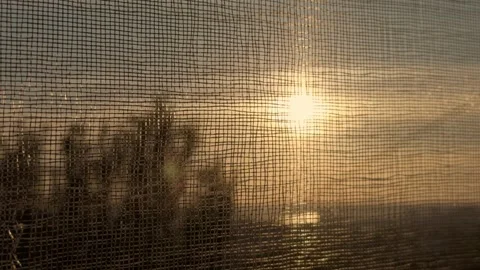 Bright sunlight shines through a window mosquito screen overlooking the stree Stock Footage 344529605