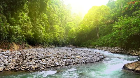 Bright sunlight shining above thick jungle and tropical river. Sumatra nature Stock Footage 75004235