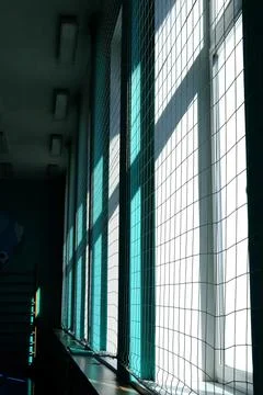 Bright sunlight streams through large windows with mesh netting, casting Photos