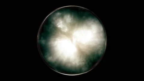 Bright sunlight within a crystal ball Stockbeeldmateriaal 199122148