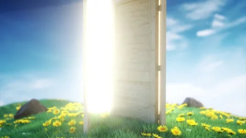 Bright Sunlit Door Opens to Vibrant Field of Yellow Flowers Under Clear Blue Sky Vídeos de archivo 300693344