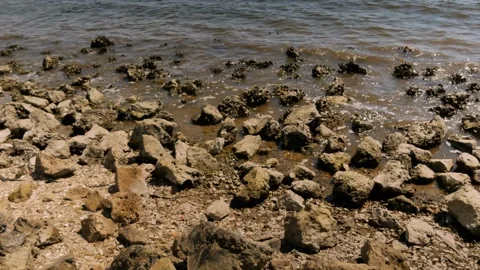 Bright sunny day looking down at large brown rocks on the edge of bay shore with Stock Footage 284725652