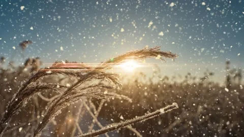 Bright sunny landscape with snow falling snow and a small house in the forest Stock Footage 201773338