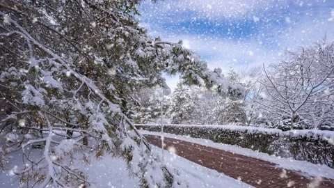 Bright sunny landscape with snow falling snow and a small house in the forest Stock Footage 223390430