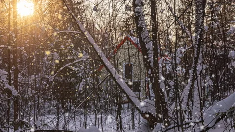 Bright sunny landscape with snow falling snow and a small house in the forest Stock Footage 228134642