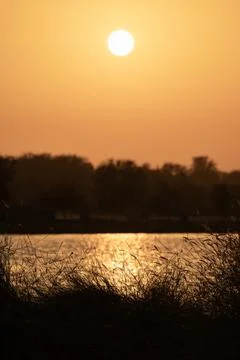 Bright sunrays bouncing off the water Stock Photos