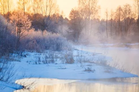 Bright sunrays streaming through winter forest trees in hoarfrost Stock Photos