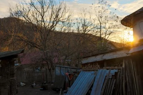 Bright sunset in the back yard Stock Photos