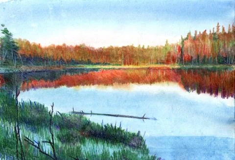 Bright sunset on the lake Stock Illustration