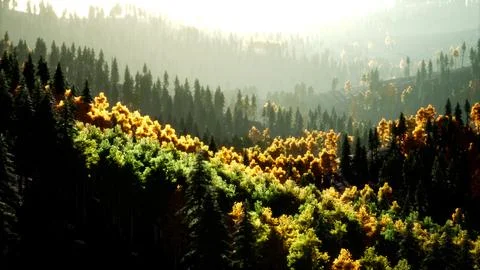 Bright sunset in the mountains with forest Stock Illustration