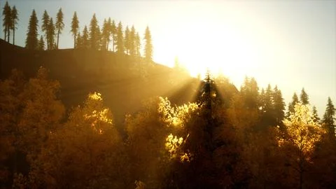 Bright sunset in the mountains with forest Illustrazione stock