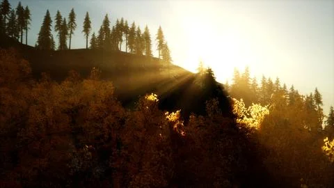 Bright sunset in the mountains with forest Illustrazione stock
