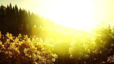 Bright sunset in the mountains Stock Illustration