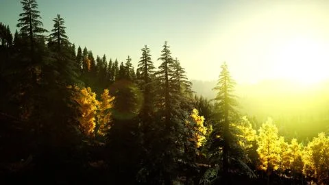 Bright sunset in the mountains 스톡 일러스트