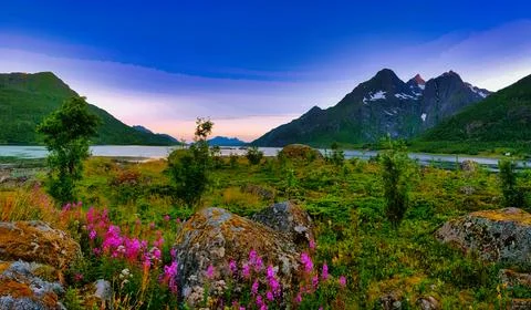 Bright sunset over a lake surrounded by mountains and flowers in a natural .. Fotos Stock