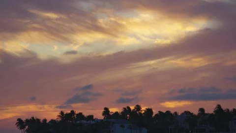 Bright sunset sky with clouds above dark palm tree silhouettes. 스톡 동영상 346911262