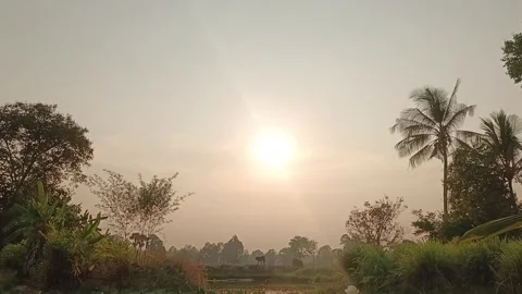 Bright sunshine and fields with cows grazing Vídeos de archivo 328403325