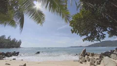 Bright sunshine peeks between the fronds of palm on this tropical beach Stock Footage 87721985