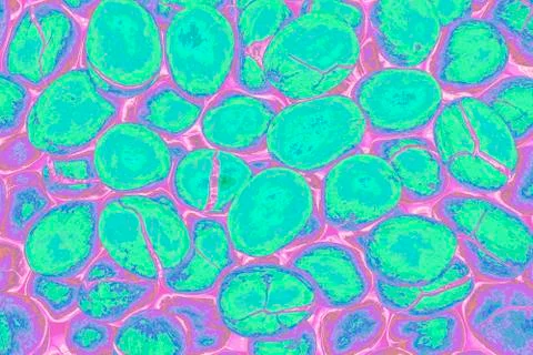 Bright texture. Stock Photos