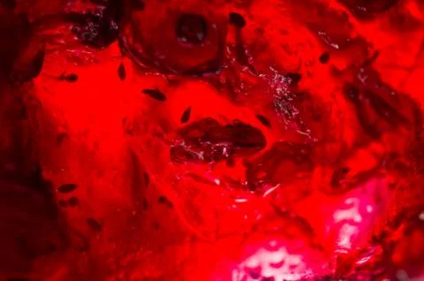 Bright translucent red currant jam in a glass jar Stock Photos