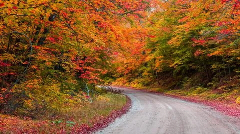 Bright trees in autumn time along scenic byways of Michigan Stock Photos