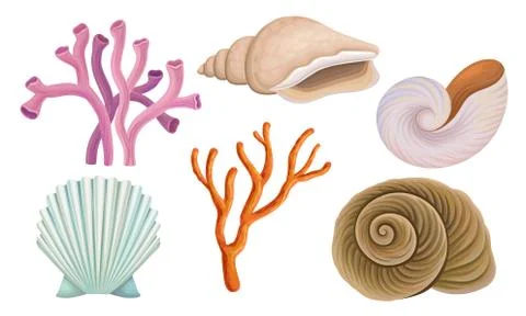 Bright Tropical Shells And Corals Vector Illustrations Set Illustrazione stock