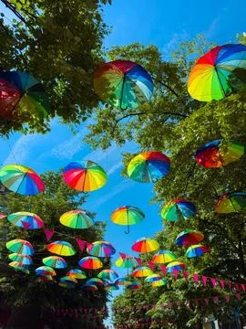 Bright umbrellas of many colors float above a street filled with trees and de Stockfoto's