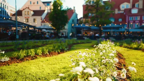 In the bright urban garden, string lights illuminate charming buildings under Stockbeeldmateriaal 276326201