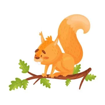 Bright Vector Illustration Of Sitting On A Branch Red Squirrel. イラスト素材